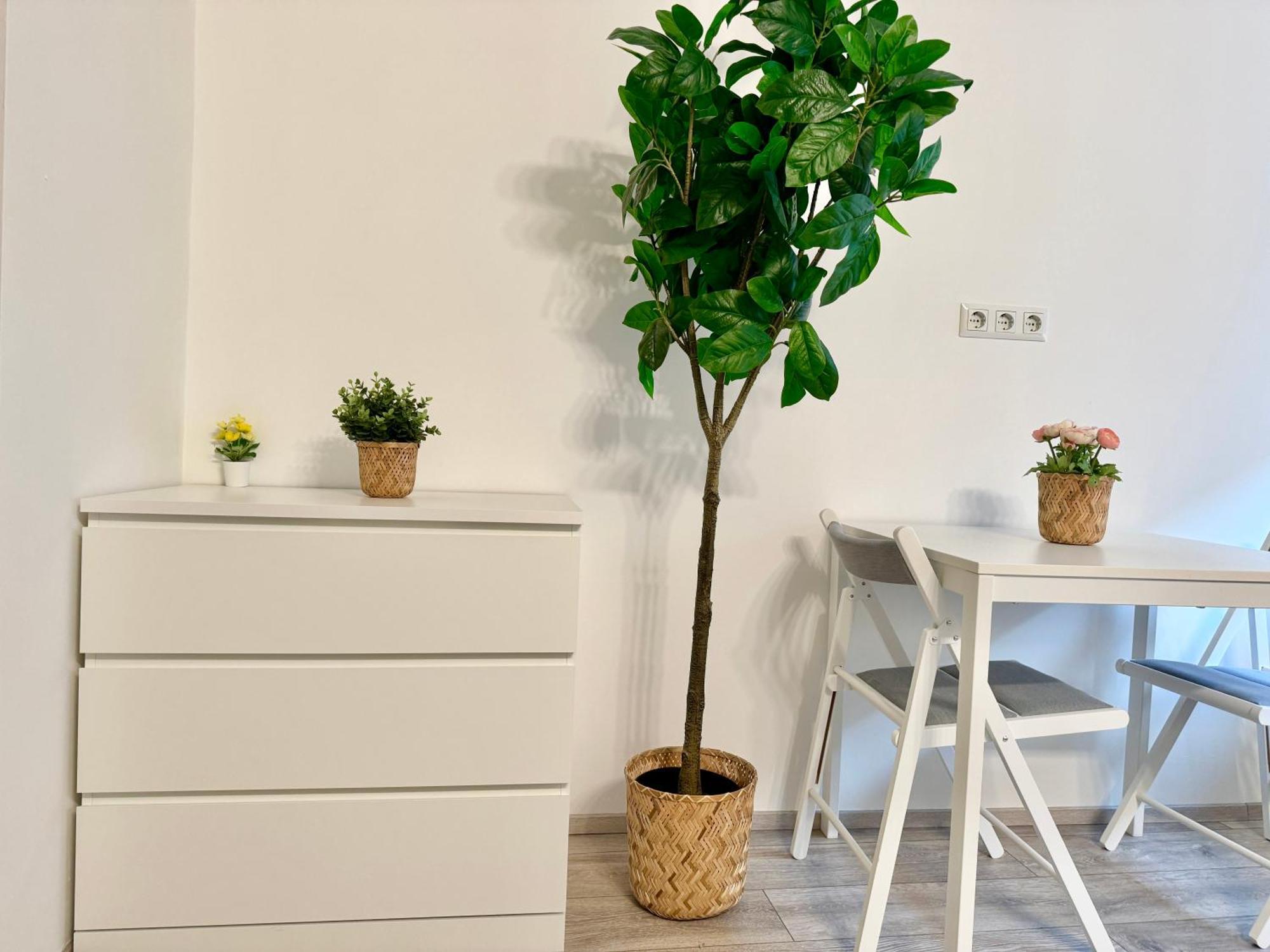 Stylish Schonbrunn Apartments - Free Underground Parking Wenen Buitenkant foto