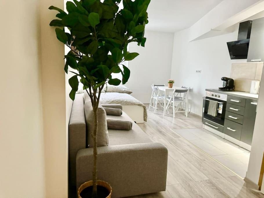 Stylish Schonbrunn Apartments - Free Underground Parking Wenen Buitenkant foto